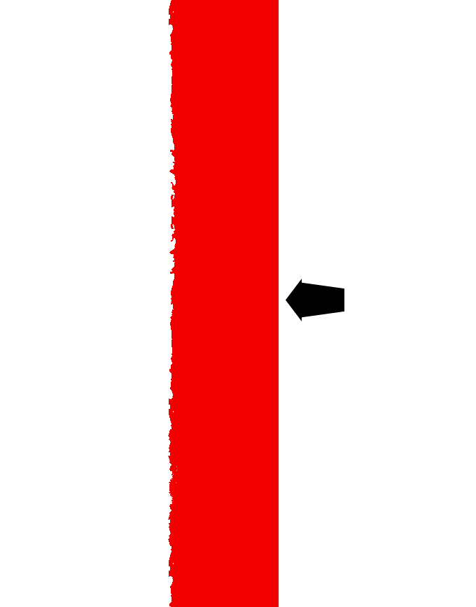 Adım 5